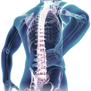 what does an osteopath do